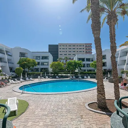 Go2tenerife Apart'masca Pool View & At 5 Min * 플라야데라스아메리카스